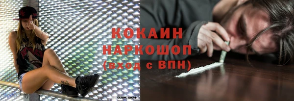 шишки Алексин