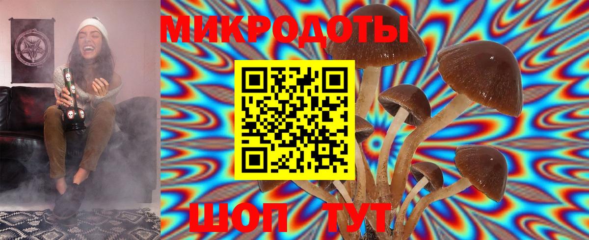 Галлюциногенные грибы Psilocybe  Вход с VPN  Старая Купавна 